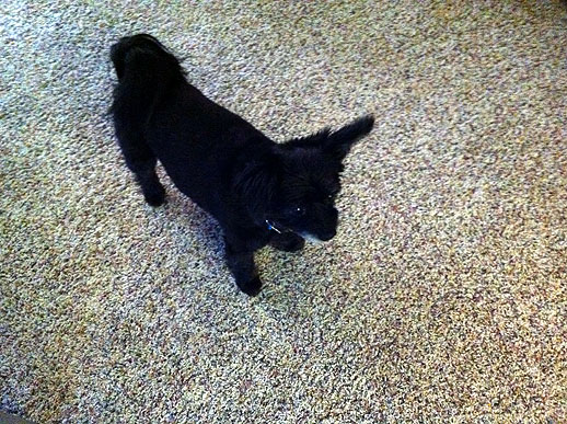 Saturday, February 19, 2011 004.JPG